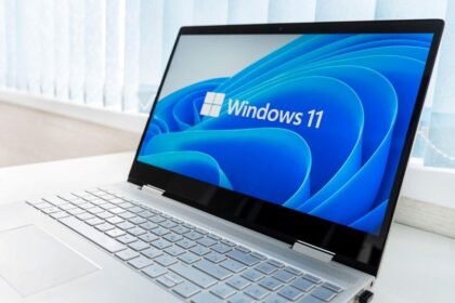 Problemos su Windows 11