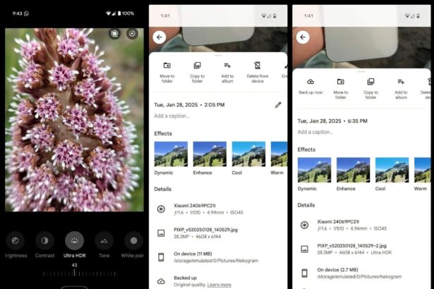 Google Photos HDR